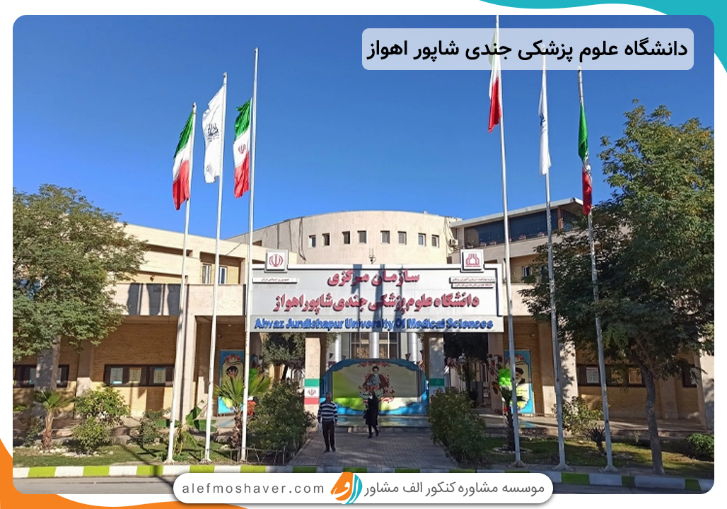 معرفی و رتبه بندی 10 دانشگاه علوم پزشکی برتر ایران 1405 5 دانشگاه جندی شاپور